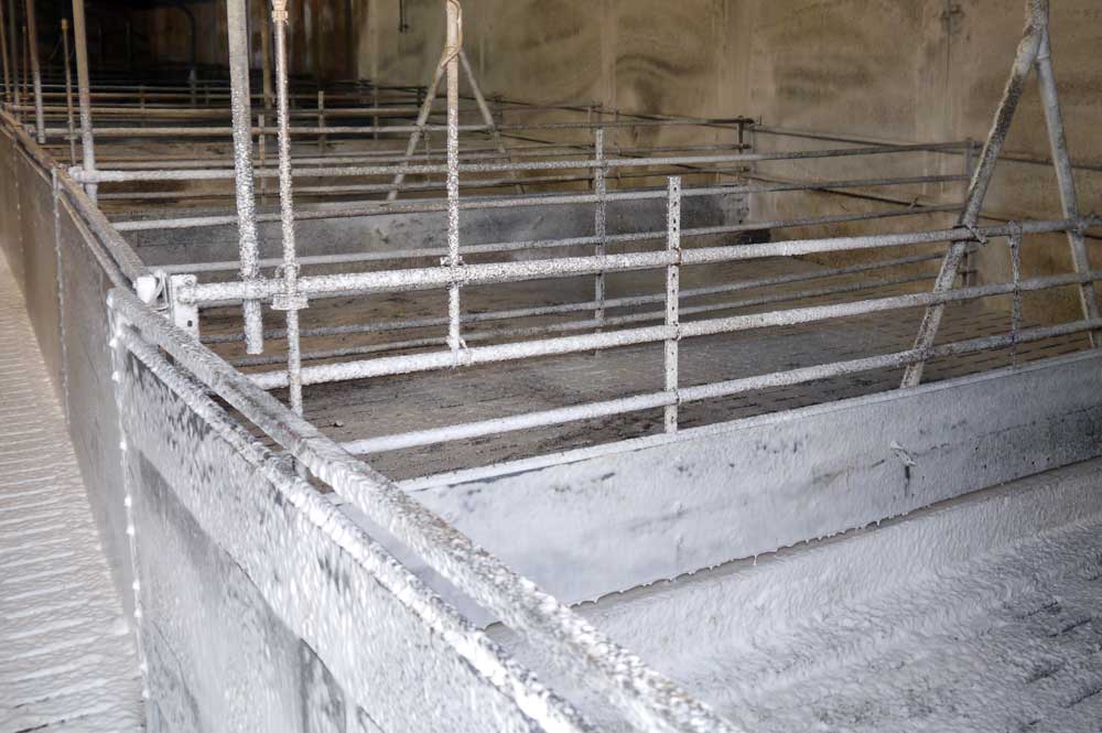 Tierseuchen-Vorsorge-Gesellschaft mbH – Unser Konzept